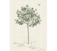 Isidore Leroy Carta da parati panoramica Arbustes Naturel - Figuier