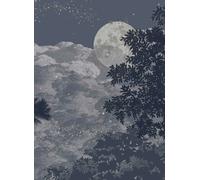 Isidore Leroy Carta da parati panoramica Eclipse Clair Obscur - Panel B