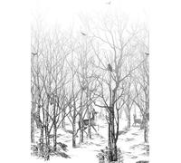Isidore Leroy Carta da parati panoramica Forêt enchantée - Noire/ Blanc
