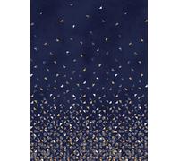 Isidore Leroy Carta da parati panoramica Tangram Bleu Nuit - Panel A