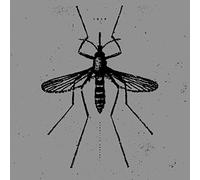 Isis - Mosquito Control