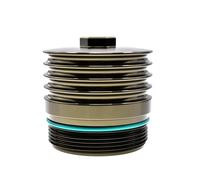 ISJRJF Filtro Olio per Automobili Adatto per BMW N63 74 S63 Tappo Filtro Olio Motore Serie 5/6/7 F07 F90 F06 F13 G12 M8 F93 X5 F15 F85 X6 E71 E72 G07 Filtro Olio(Gold)