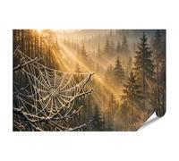 islandburner Poster Premium con ragnatela gelida alla luce del sole sopra una foresta, grande formato