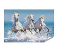 islandburner Poster XXL con immagine a tre cavalli bianchi sul mare galoppo in acqua, 130 x 90 cm