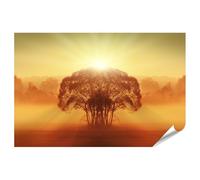 islandburner Poster XXL con immagine dell'alba, albero nella nebbia, paesaggio, scena, immagini di alta qualità