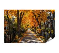 islandburner Prime, poster autunnale degli alberi in un accogliente quartiere abitativo, 90 x 60 cm