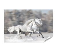 islandburner Prime, poster con due cavalli bianchi che galoppano attraverso la neve in una bella giornata invernale, 130 x 90 cm