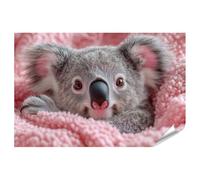 islandburner Prime Poster con immagine Carino Koala avvolto in soffice coperta Immagini Premium Stampa fotografica