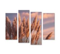 islandburner Prime Quadro su tela, delicato nuvole di erba della pampa alla luce della sera, poesia del cielo, tela, 130 x 80 cm, 4 pezzi