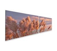 islandburner Prime Quadro su tela, delicato nuvole di erba della pampa alla luce della sera, poesia del cielo, tela, 160 x 40 cm, 2 pezzi