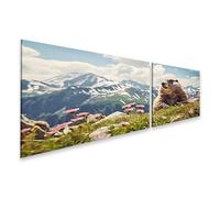 islandburner Prime Quadro su tela, marmotte nei prati alpini davanti alle montagne innevate