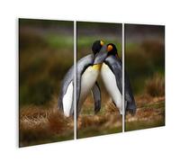 islandburner Prime Quadro su tela pinguini abbraccio natura amicizia animali due gruppi immagini murali poster