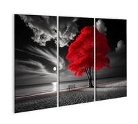 islandburner Quadro su tela Albero Rosso su una spiaggia illuminata dalla luna in bianco e nero, Immagini, Quadri da parete, Poster