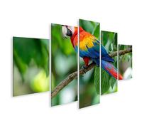 islandburner Quadro su tela Ara colorata su ramo nella foresta pluviale murale per amanti della natura, 5 pezzi, edizione U1