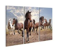 islandburner Quadro su tela Branco di cavalli selvatici Salto Bay Sette Wilderness ICNU Quadri Stampe Immagini Murale Decorazione da parete