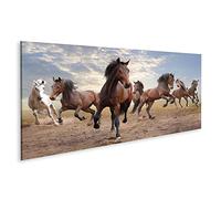 islandburner Quadro su tela Branco di cavalli selvatici Salto Bay Sette Wilderness ICNU Quadri Stampe Immagini Murale Decorazione da parete