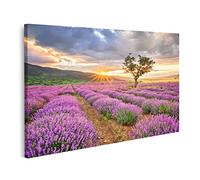 islandburner Quadro su tela Campo di lavanda Alba Immagini Murale Poster