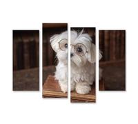 islandburner Quadro su tela carino cane con occhiali su vecchi libri come murale - 4 pezzi