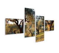 islandburner Quadro su tela di ulivi alla luce del sole - Murale per gli amanti della natura - 4 pezzi - Edizione I1