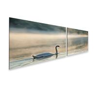 islandburner Quadro su tela, elegante cigno sul lago nebbioso alla luce del mattino, 2 pezzi