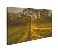islandburner Quadro su tela La luce del sole che si infrange tra gli alberi e i raggi di luce Quadri Stampe Immagini Murale Decorazione da parete