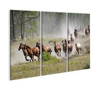 islandburner Quadro su Tela Mandria di Cavalli al Galoppo Foresta Quadri Stampe Immagini Murale Decorazione da Parete