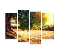 islandburner Quadro su tela Olivi Piantagione Tramonto Mare Mediterraneo Campo Vecchio Albero Quadri Stampe Immagini Murale Decorazione da parete