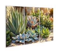 islandburner Quadro su tela piante grasse arrangiamento al sole della sera per decorazione della casa, 3 pezzi