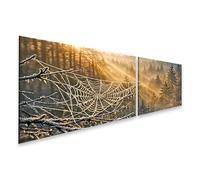 islandburner Quadro su tela Ragnatela gelida alla luce del sole sopra una foresta - 2 pezzi