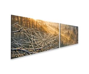 islandburner Quadro su tela Ragnatela gelida alla luce del sole sopra una foresta - 2 pezzi