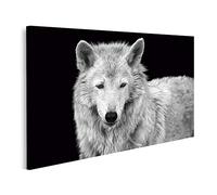 islandburner Quadro su Tela Ritratto in Bianco e Nero di Un Lupo Selvatico della Foresta GBKL Quadri Stampe Immagini Murale Decorazione da Parete