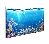 islandburner Quadro su tela Sott'acqua con barriera corallina e pesci tropicali sfondo acquario Quadri Stampe Immagini Murale Decorazione da parete