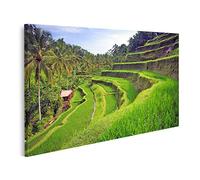 islandburner Quadro su tela Terrazza Campi di riso Ubud Tegallalang Bali Indonesia Quadri Stampe Immagini Murale Decorazione da parete