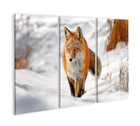 islandburner Quadro su tela volpe rossa nella neve - Quadro da parete per amici della natura - 3 pezzi