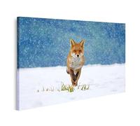 islandburner Quadro su Tela Volpe Rossa Vulpes Inverno Foresta Prato Nevicata Arancione Pelliccia Cravatta INCB Quadri Stampe Immagini Murale Decorazione da Parete