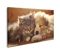 islandburner Stampa su Tela Cane E Gatto Abbracciare Concetto Reciproco Vera Amicizia Immagini Poster