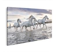 islandburner Stampa su tela con cavalli bianchi nel corso d'acqua al tramonto, 80 x 40 cm