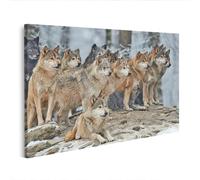islandburner WTD - Stampa su tela con branco di lupi nella foresta invernale in piedi e sdraiata su collina, 80 x 40 cm