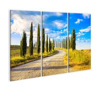 islandburner WTD - Stampa su tela con cipressi Toscana, strada bianca, paesaggio rurale Italia, Europa Ita, 130 x 80 cm, 3 pezzi
