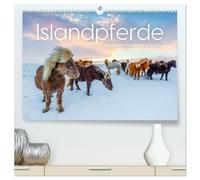 Islandpferde - Die süßen Pferde im Norden. (hochwertiger Premium Wandkalender 2026 DIN A2 quer), Kunstdruck in Hochglanz: Entdecke die Faszination der Islandpferde.