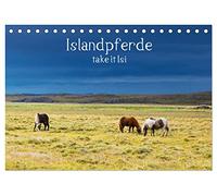 Islandpferde take it Isi (Tischkalender 2026 DIN A5 quer), CALVENDO Monatskalender: Die Welt der Islandpferde kann nur jeden Reiter begeistern