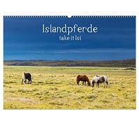 Islandpferde take it Isi (Wandkalender 2026 DIN A2 quer), CALVENDO Monatskalender: Die Welt der Islandpferde kann nur jeden Reiter begeistern