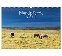 Islandpferde take it Isi (Wandkalender 2026 DIN A3 quer), CALVENDO Monatskalender: Die Welt der Islandpferde kann nur jeden Reiter begeistern