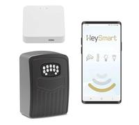 iSnatch Hey Box Cassetta di sicurezza Smart Wi-Fi a batterie, portaoggetti antivandalo con password, mini cassaforte per chiavi in metallo