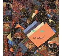 Animal Collective Isn't It Now? (CD) Album