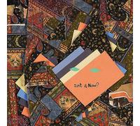 Animal Collective Isn't It Now? (Vinyl LP) 12" Album
