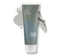 IsNtree Maschera all'argilla calmante all'artemisia 100 ml, 3,38 fl.oz | Controllo del sebo | Restringimento dei pori | Esfolia la pelle ruvida | Cura dei punti neri