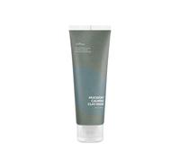 ISNTREE Mugwort Calming Clay Mask 100 ml
