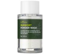 Isntree Mugwort Calming Polvere detergente per il viso - 15 g