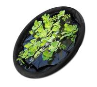 Isola galleggiante pianta protettore pesce barriera stagno decorazione acqua ingranaggio circolare pesce barriera guardia